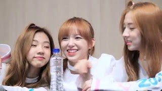 160514 우주소녀 WJSN MOMOMO 대전 팬싸인회  팬싸 시작 성소 은서 위주 [upl. by Yelats]