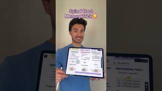 Spinal tract memory hack from my Neurology guide medschool medstudent usmle usmlestep1 step1 [upl. by Hgielah64]