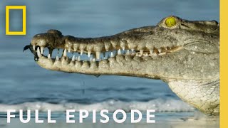 Oceans Full Episode  Hostile Planet [upl. by Normalie]