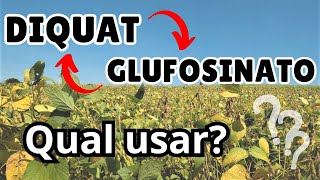 DIQUAT ou GLUFOSINATO Qual usar na dessecação da SOJA [upl. by Ethan]