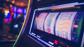 NSW cashless gambling trial to be led by panel [upl. by Anaynek]