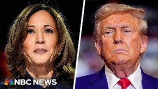 Focus group Skeptical voters believe Trump is more of an ‘agent of change’ than Harris [upl. by Kenny896]