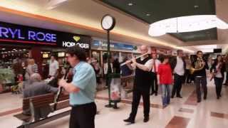 Flashmob symphonique  Centre commercial Auchan Noyelles [upl. by Refenej]