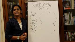 DEVELOPMENT OF THE INTERATRIAL SEPTUMHUMAN EMBRYOLOGY  DR ROSE JOSE MD DNB MNAMS [upl. by Nohtan430]