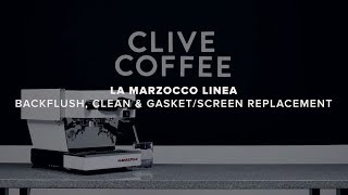 La Marzocco Linea Mini  Backflush Clean amp Gasket  Screen Replacement [upl. by Ayarahs478]