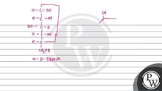 Which of the following structures represents \\\\alpha\\Dglucose [upl. by Ardnuasac]