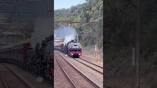 6029 at Koolewong Hawkesbury River Shuttles [upl. by Kreindler]