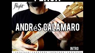 Flaca  ANDRES CALAMARO Ukelele fingerstyle Tutorial INTRO [upl. by Ahusoj]