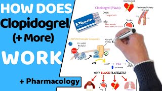 How Does Clopidogrel Antiplatelets Work  Pharmacology [upl. by Vey228]