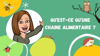 🌿 Questce quune chaîne alimentaire  🐞 [upl. by Gordy]