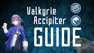 Valkyrie Accipiter Guide Updated  HONKAI IMPACT 3 SEA [upl. by Aicilav]