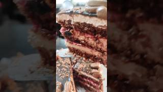 chocolate mousse cake youtubeshorts food healthyfoodchannel cakedecorating homemadecake [upl. by Lisetta]