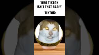 TikTok moment 🙀 memes [upl. by Lertnahs]