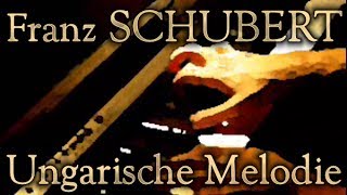 Franz SCHUBERT Ungarische Melodie D817 [upl. by Laurance]