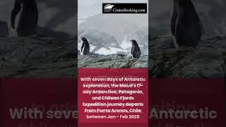 Hurtigruten Expeditions Launches New Antarctica Itineraries CruiseBookingcom NewsShorts [upl. by Arezzini]