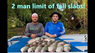 2 man limit of early Fall slabs with Barfly Fishing Texas Crappiefishing fallfishing flathead [upl. by Einafats]