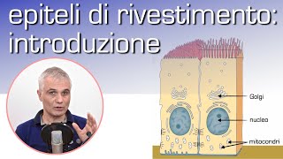 Epiteli di rivestimento introduzione [upl. by Nilpik]