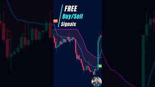 Best Binary Options Trading Strategy for Beginners 2024  Tradingview Indicator [upl. by Einyaj]