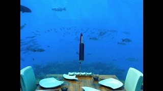 Ithaa Undersea Restaurant at Conrad Maldives Rangali Island [upl. by Leisam756]