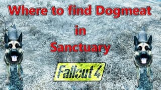 Dogmeat location in Sanctuary Hills Fallout 4 [upl. by Eceirahs]