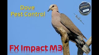 FX Impact M3  Dove and Rock Pigeon Pest Control [upl. by Germain]