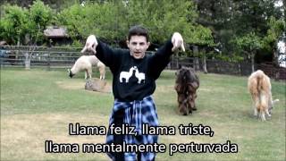 The llama song 2Twaimz Sub al español [upl. by Areikahs]