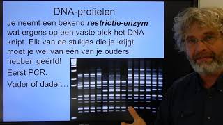 Biologie VWO BB DNA fingerprinting [upl. by Amling]