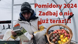 Pomidory 2024 zadbaj o nie już dzisiajczyli jak przygotować glebę [upl. by Wobniar906]