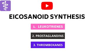 Eicosonoids Synthesis  Leukotrienes Prostaglandins and Thromboxanes [upl. by Gonzales29]