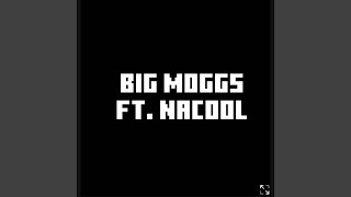 Big Moggs [upl. by Squier]