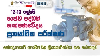 ප්‍රයෝගික පරීක්ෂණ AL Bio Systems Technology ජෛව පද්ධති තාක්ෂණවේදය 12  13 ශ්‍රේණිය [upl. by Hgalehs38]