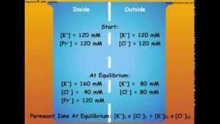 4 Nernst Equation and Calculations of Membrane Potentials [upl. by Monika]