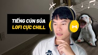 Tổng hợp tiếng chó sủa lofi  Làm quen tiếng cún con sủa [upl. by Chappelka]