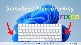 FIX Dell Keyboard Not Working Windows 10 Dell Inspiron 15 3501 [upl. by Aecila]