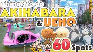 Things to do in Akihabara and Ueno Tokyo  Japan Travel Update 2024 [upl. by Pegma]