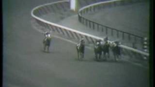 SECRETARIAT  1972 Sanford Stakes with stretch call amp analysis [upl. by Schlenger758]