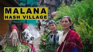 MALANA HASH VILLAGE World Famous Weed Mountain in INDIA  OFFICIAL DOCUMENTARY [upl. by Airotkciv]