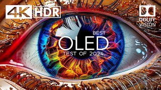 4K HDR 60FPS  THE ULTIMATE OLED TEST 2024  Dolby Vision [upl. by Xilef]