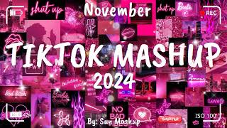 Tiktok Mashup November 💗2024💗 Not Clean [upl. by Arvo]