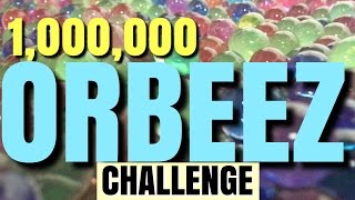 Orbeez Challenge  1000000 Orbeez [upl. by Airak]