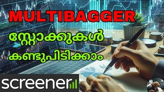 Multibagger Finding Settings at Screenerin [upl. by Kcid]