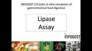 Lipase Activity Assay for the INFOGEST 20 Method for Food 2019 update in Nature Protocols [upl. by Ahsiki]