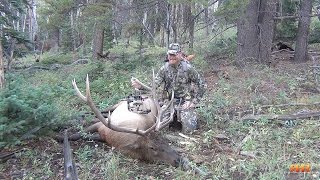 Colorado Archery Elk Hunt  Call em to Your Toes 5x6 HeartShot [upl. by Tate]