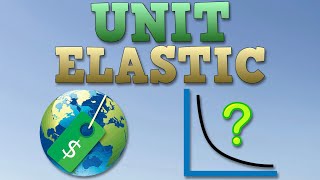 Unit Elasticity Diagram explained [upl. by Tegdirb38]