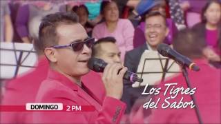 Domingos de Fiesta TV Perú  230717 promo [upl. by Inanaup51]