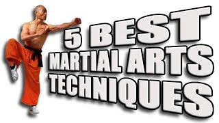 Top 5 Best Martial Arts Techniques [upl. by Abeh]