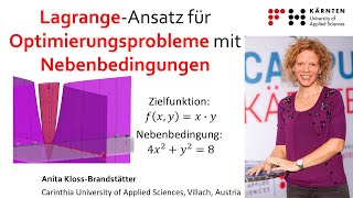 LagrangeOptimierung mit Nebenbedingung  anschaulich erklärt [upl. by Enilorak256]