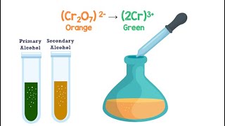 Oxidation of Alcohols to Aldehyde Ketone and Carboxylic Acid [upl. by Ennayk]