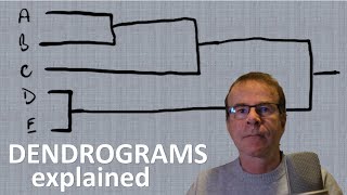 Hierarchical Clustering DENDROGRAMS  what are they and how are they used [upl. by Yelloh927]