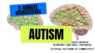 2Minute Neuroscience Autism [upl. by Phare311]